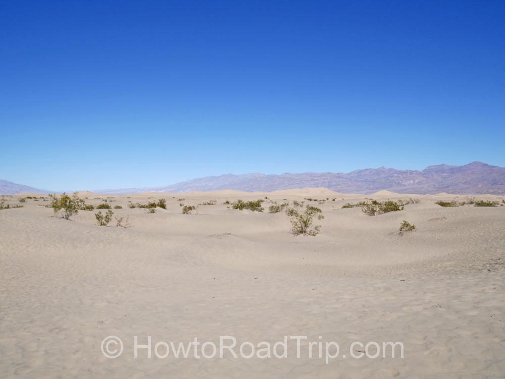 sand dunes