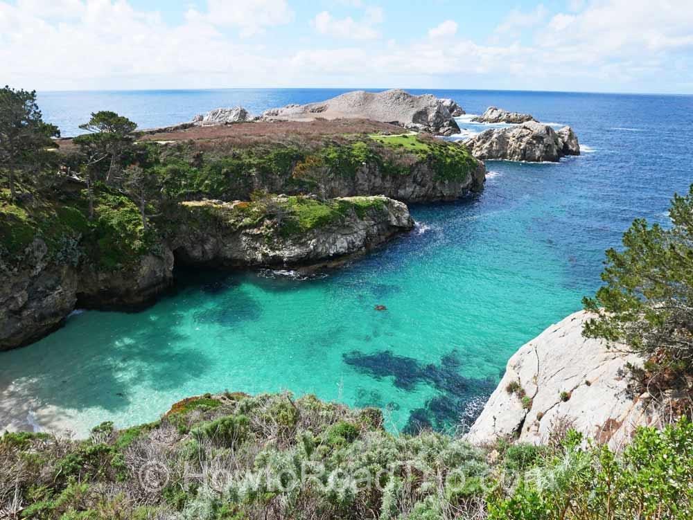 point lobos