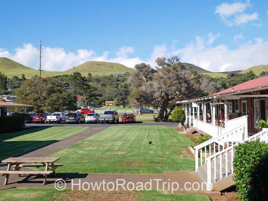 Waimea coffee shop