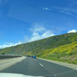 freeway central california
