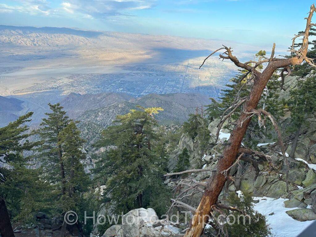 view from the summit
