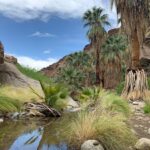 Murray Canyon