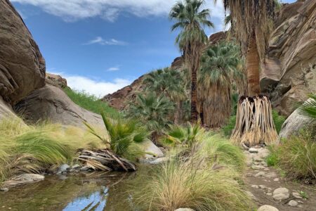 Murray Canyon