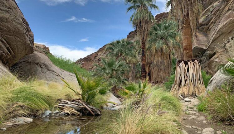 Murray Canyon