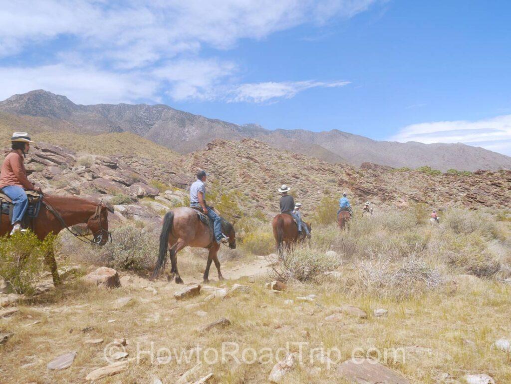 murray canyon horse