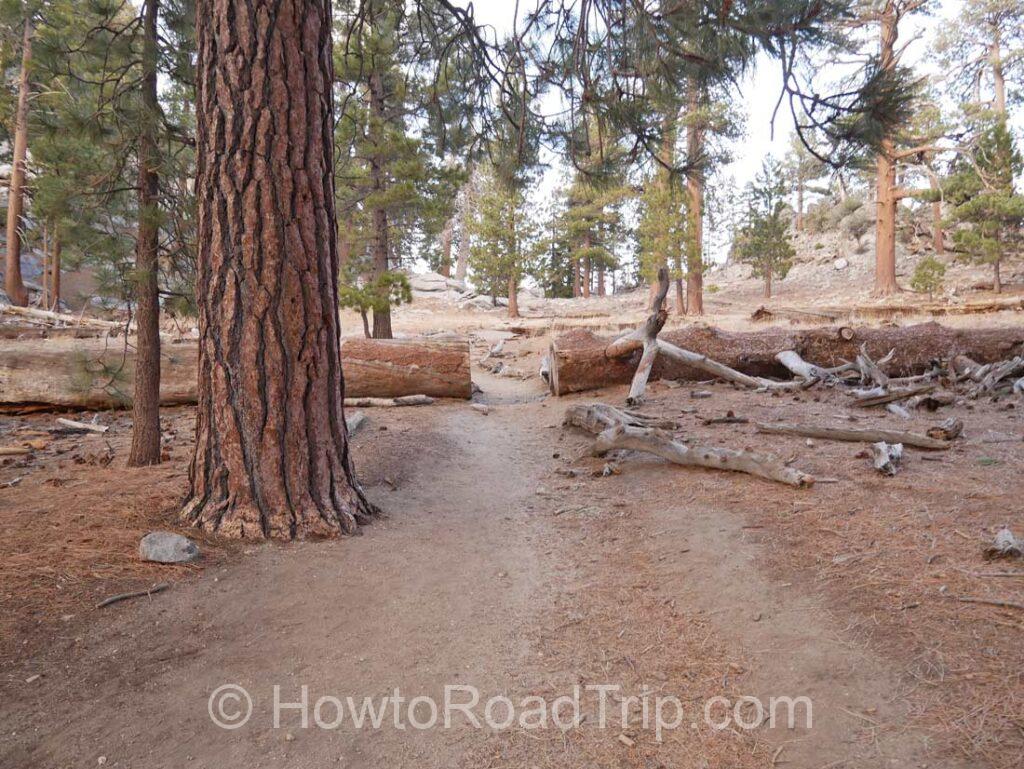 trail at tramway